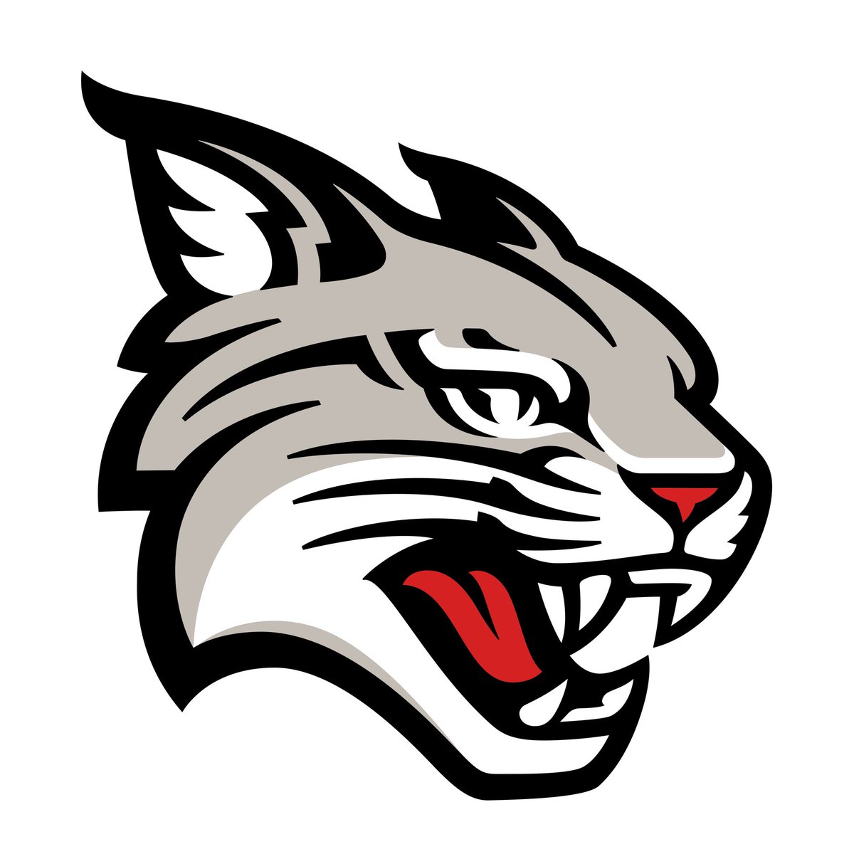 I will be visiting <a href="/DSGBCoachCam/">Coach Cam Gibson</a> and <a href="/DavidsonFB/">Davidson Football</a> on April 12 #GoCats
<a href="/COACH217ROLAND/">Travis Roland</a> <a href="/QBOCCoachAlford/">Grant Alford</a> <a href="/JMThompson12/">Coach Thompson</a> <a href="/LUmm55/">CamdenPower</a> <a href="/CamdenRecruits/">Camden FB Prospects</a> <a href="/BVEvery/">Barry Every</a> <a href="/xixnyne/">calvin wilson</a> @On3Recruits <a href="/AnnaH247/">Anna Adams</a> <a href="/247Sports/">247Sports</a>