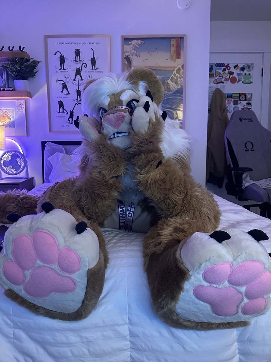 Photogenic Kimmy Cat
#FursuitFriday #fursuit