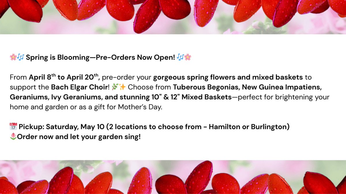 From April 8th to April 20th, pre-order your gorgeous spring flowers and mixed baskets to support the Bach Elgar Choir! 🔗 Shop the 2025 Flower Sale: zeffy.com/en-CA/ticketin…

#BachElgarChoir #BachElgarFlowers #SpringIntoSong #SupportTheArts #MothersDay #PreOrderNow