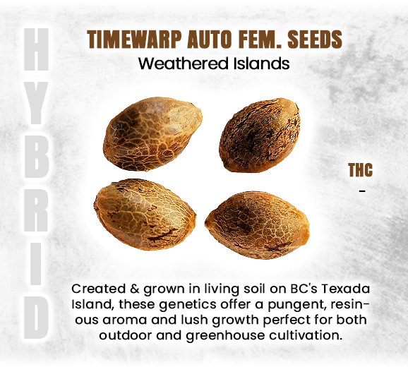 Social_GrandCan's tweet photo. *Informational Purposes*
#TimewarpSeeds #AutoFeminized #FastFlowering #CannabisSeeds #GrowTime #OutdoorGrow #StealthStrain #EasyGrow #HomeGrowers #BCGenetics #420Garden #ResinRich #TerpeneTime #SeedToStash #ChronicGrow #GrandCannabis https://t.co/6v4RgKfvoK