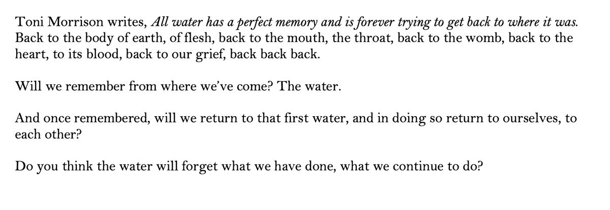 chenchenwrites's tweet photo. Do you think the water will forget what we have done, what we continue to do?

—Natalie Diaz, from "The First Water Is the Body" https://t.co/BOBzZD3LSS