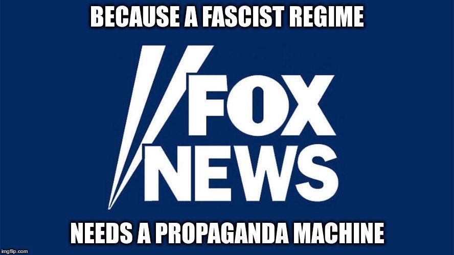 Trinity 🌊 tweet media