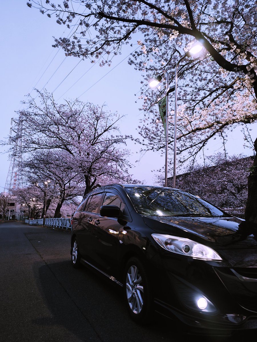 近所で朝活お花見🌸
今年は週一の休みも3時に起きて有意義に過ごすと決めた。