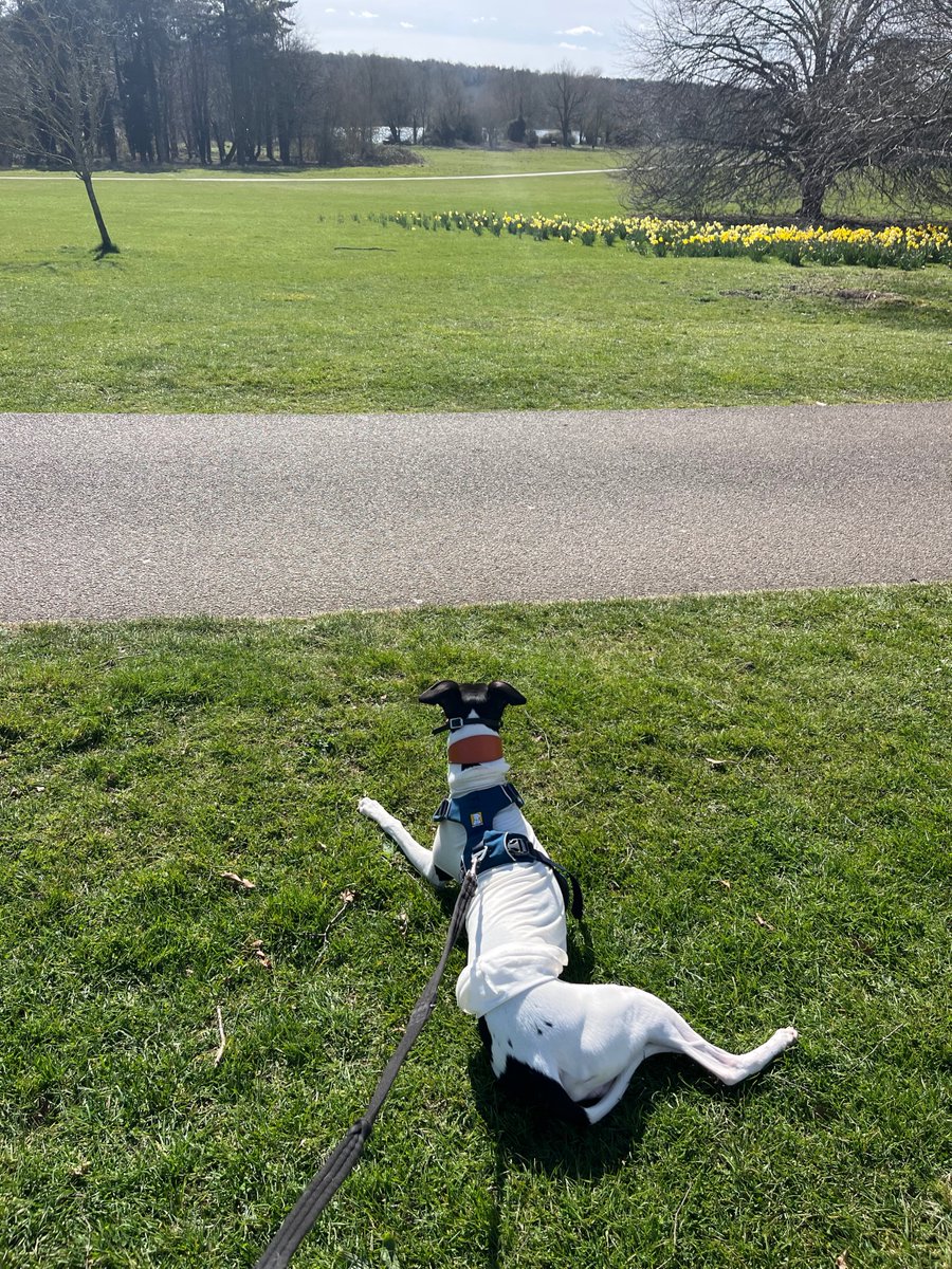 CBRE_Emma's tweet photo. Hope everyone making most of this beautiful weather 🌞🌞🌞🌞🌞 https://t.co/Tj1Hw43vXC