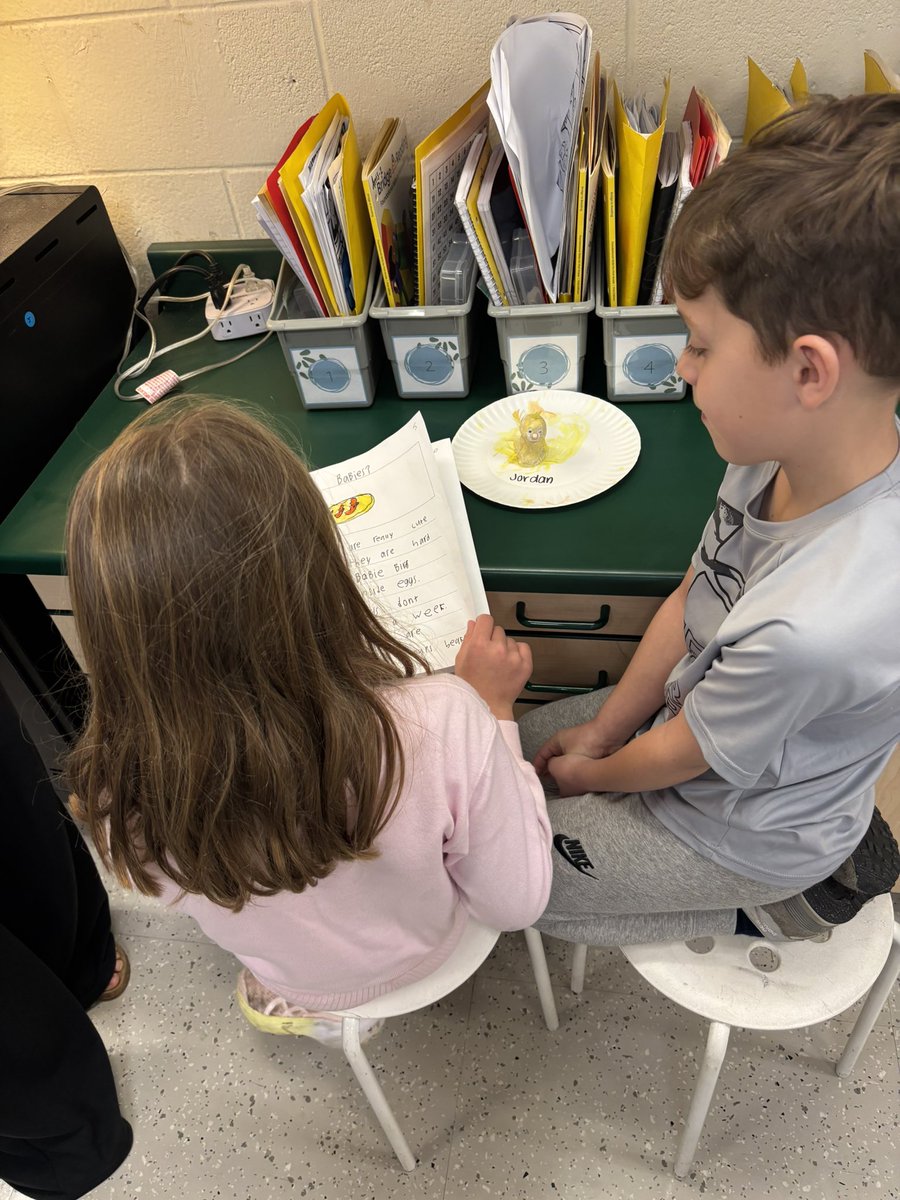 Kayla Stine tweet media