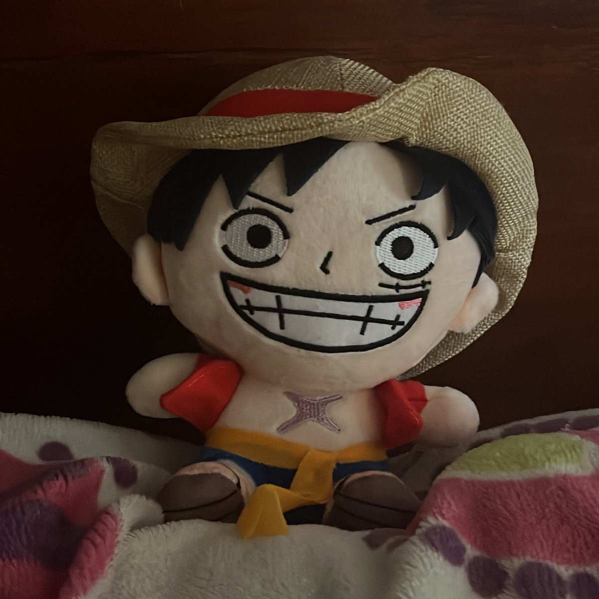 ty ♡s avo ; tweet media