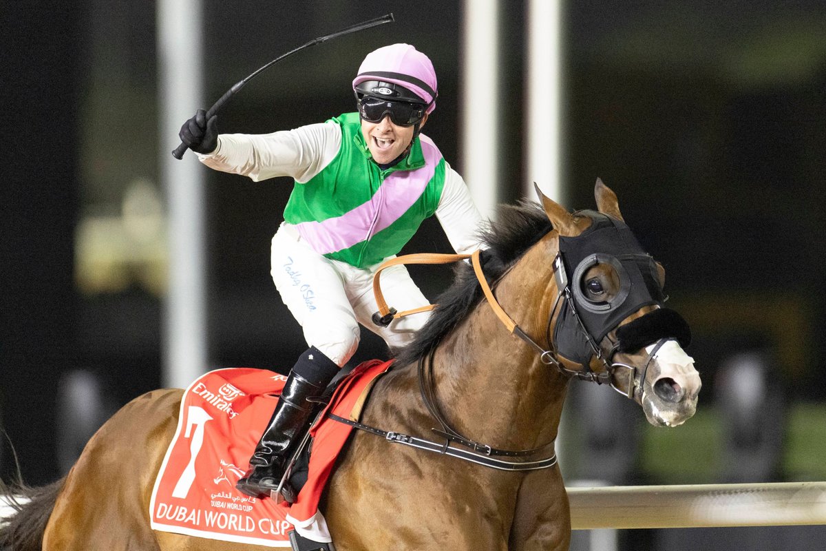 EclipseSports's tweet photo. Only one more sleep until the @dubaiworldcup

Who's ready for the world's top horses to compete at Meydan Racecourse? Share your predictions and excitement with us! #DubaiWorldCup #MeydanRacecourse 

📸 @himawarikaz https://t.co/b2ogrBw4Hi