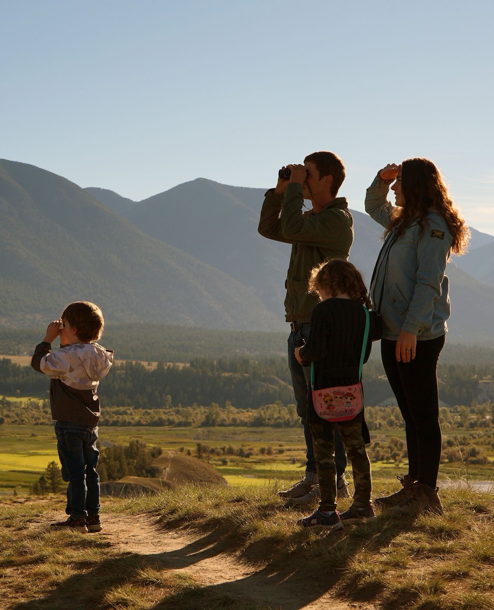 🌸🐦 Migration season is the perfect time for a family-friendly #birdwatching adventure.
Check out our blog post to learn about:
🫶The benefits of intergenerational #birding
🐣 Family birding tips 
🌳 Family-friendly birding destinations

👉️bcbirdtrail.ca/field-notes/sp…
#BCBirdTrail