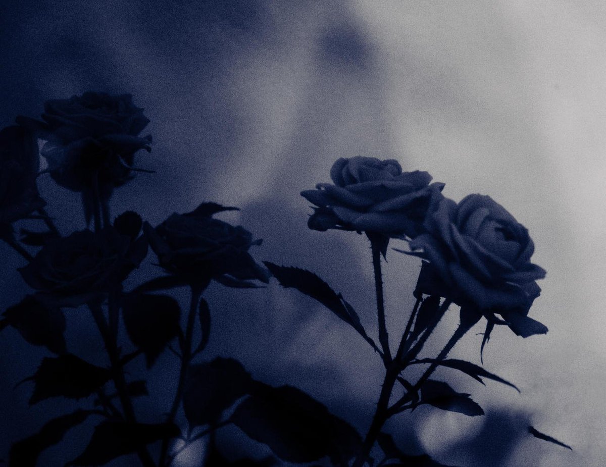 He never called me "Michael."

To him, I was just a fucking cancer.