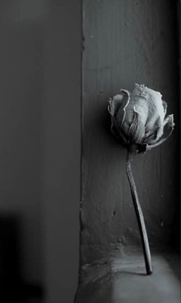 أحب الصمت ، لأنني تعلمت أنه ليس كل من يستمع إليك يمكنه فهم روحك .