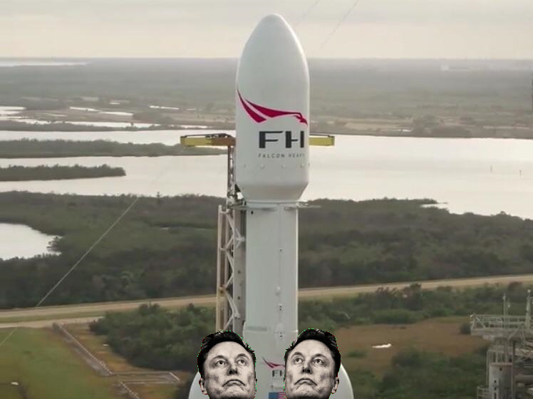 HulkRh3's tweet photo. This image reminds me, the word "Musk" comes from Sanskrit muska-s = "testicle" https://t.co/BWzKqRRzco