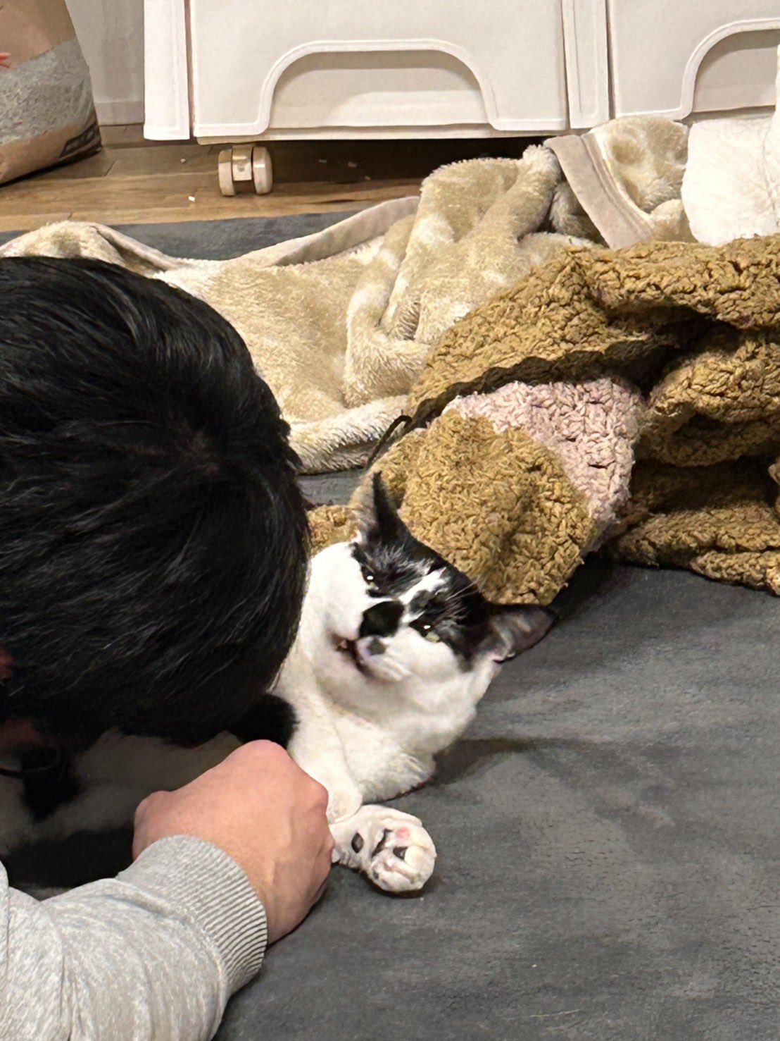 【ハナちゃん♡‼︎】※他の方，購入不可。 ハナちゃん通信 - Search / X