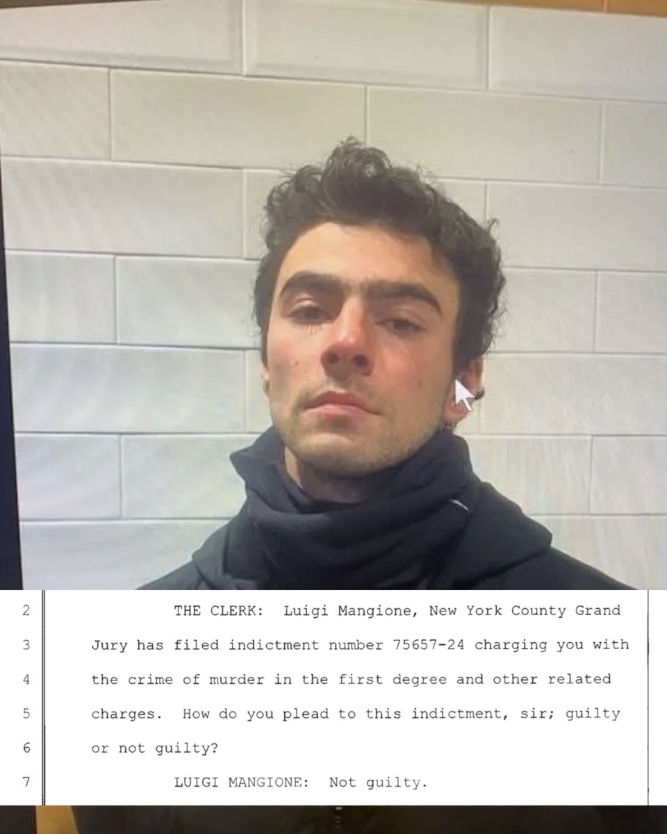 LuigiCaseFiles's tweet photo. Using the official transcript to remind everyone Luigi Mangione pleaded NOT GUILTY, yet he’s being treated like he’s already convicted.