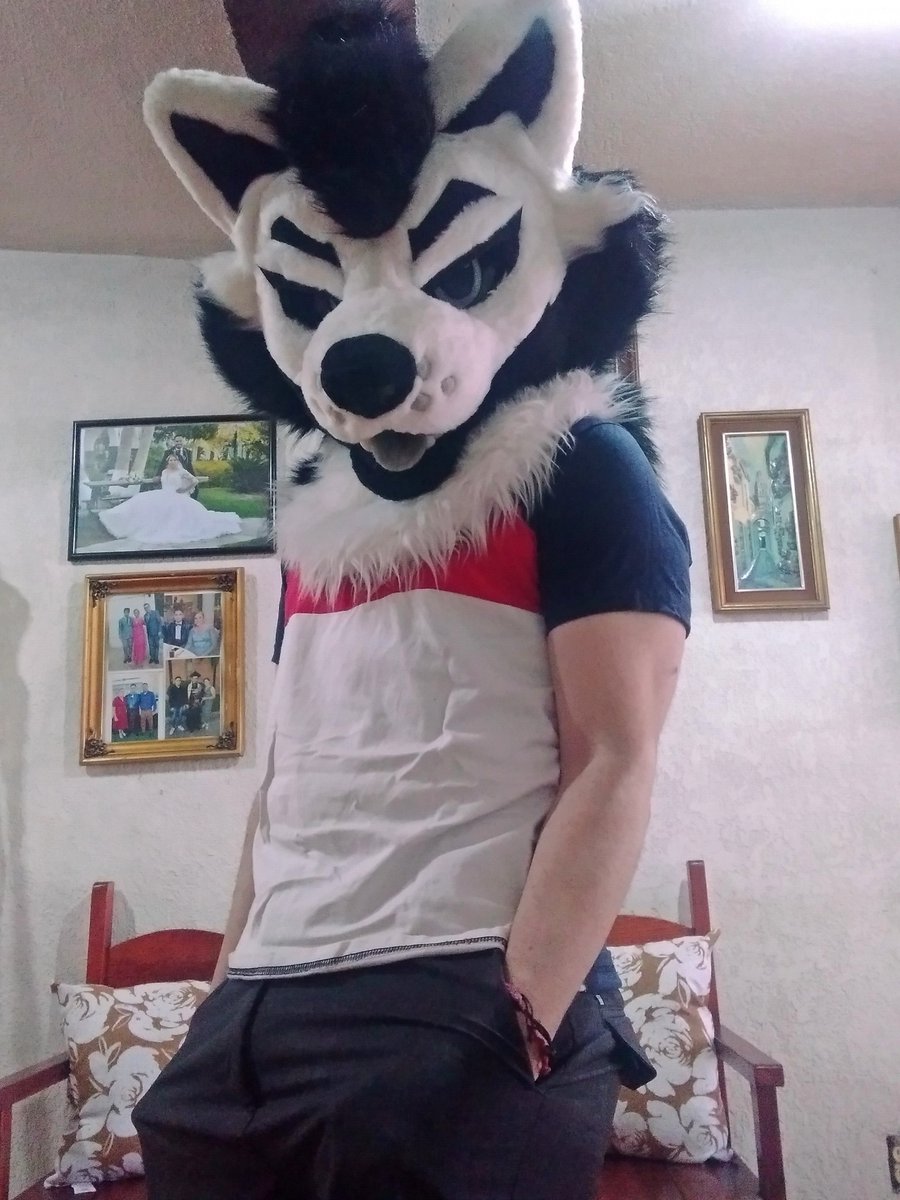 Henllo there
#FursuitFriday #furry