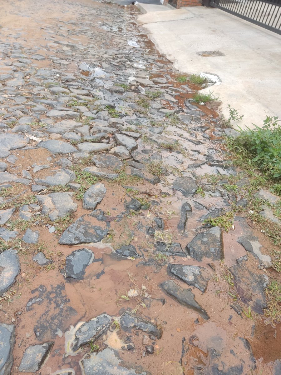 Perdida de agua  en la calle,hace varios días sobre Raúl Carmona casi Olegario Andrade. Barrio San Cristóbal Asunción Por favor si pasan a revisar y reparar gente de <a href="/EssapSA/">Essap S.A.</a>