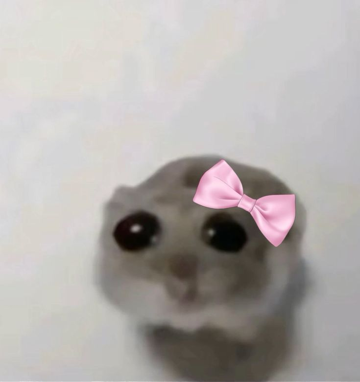 ;; Cuenta creada.

Nervios- ah.