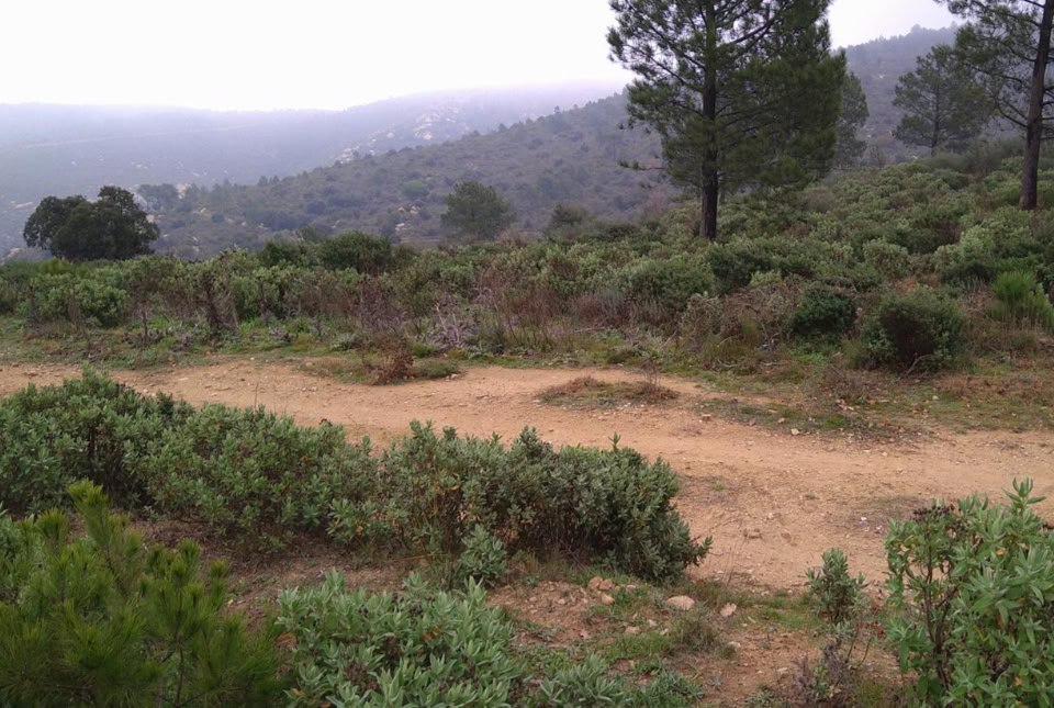 Sortida a la serra de Rodes
Des del Grup Local del Pla de l’Estany, ens informen de l'activitat que duran a terme el pròxim dissabte, dia 19 d’abril, i que han titulat "Sortida a la serra de Rodes".

Vegeu la notícia completa a: floracatalana.cat/drupal843/node…
Us hi esperem! Us agradarà!