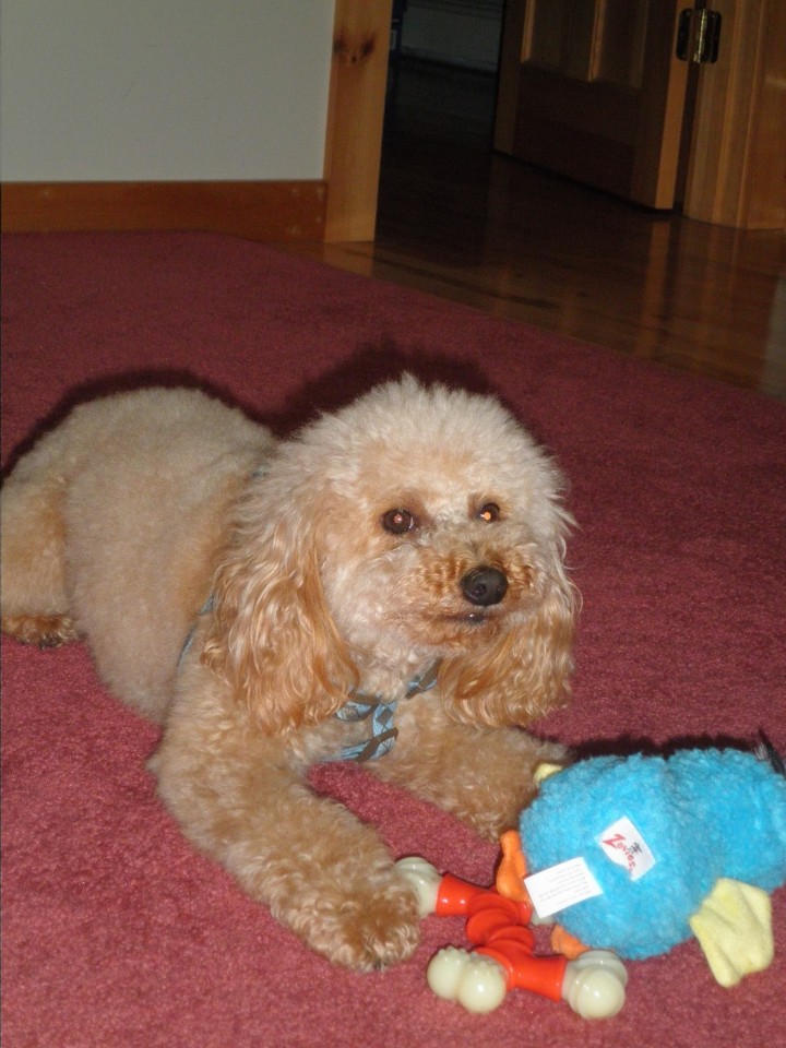 Lily💔WinnieZeus Squirt Walter Winston Big O Jodie tweet media