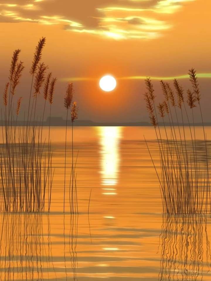 pathwayy_'s tweet image. 