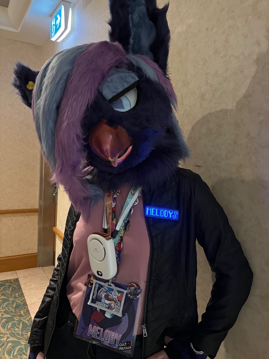 hthom32's tweet photo. Furdu 2025 Photos part 58

Ft: @KalTheDingo and @ @zaika_rabbit 

#FurDU2025 #fursuit #furry #fursuiter https://t.co/CovTspjS1k