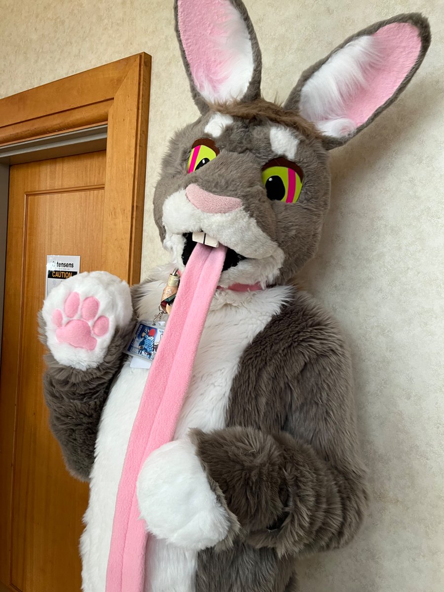 hthom32 (@hthom32) on Twitter photo Furdu 2025 Photos part 58
Ft: <a href="/KalTheDingo/">Kal Dingo</a> and @ <a href="/zaika_rabbit/">Zaika Rabbit</a> 
#FurDU2025 #fursuit #furry #fursuiter Furdu 2025 Photos part 58
Ft: <a href="/KalTheDingo/">Kal Dingo</a> and @ <a href="/zaika_rabbit/">Zaika Rabbit</a> 
#FurDU2025 #fursuit #furry #fursuiter