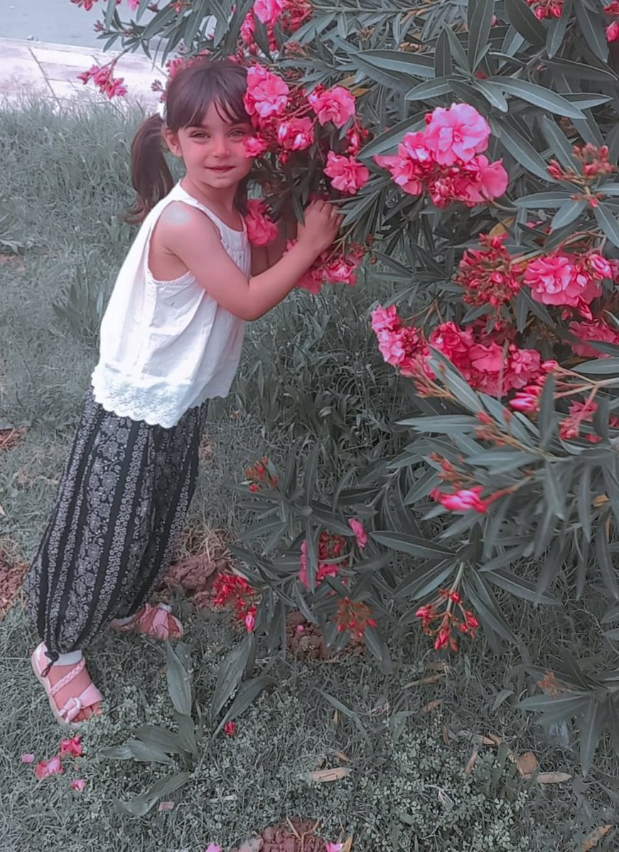 ☆●♡Howar♡●☆ (@howramaniat) on Twitter photo 