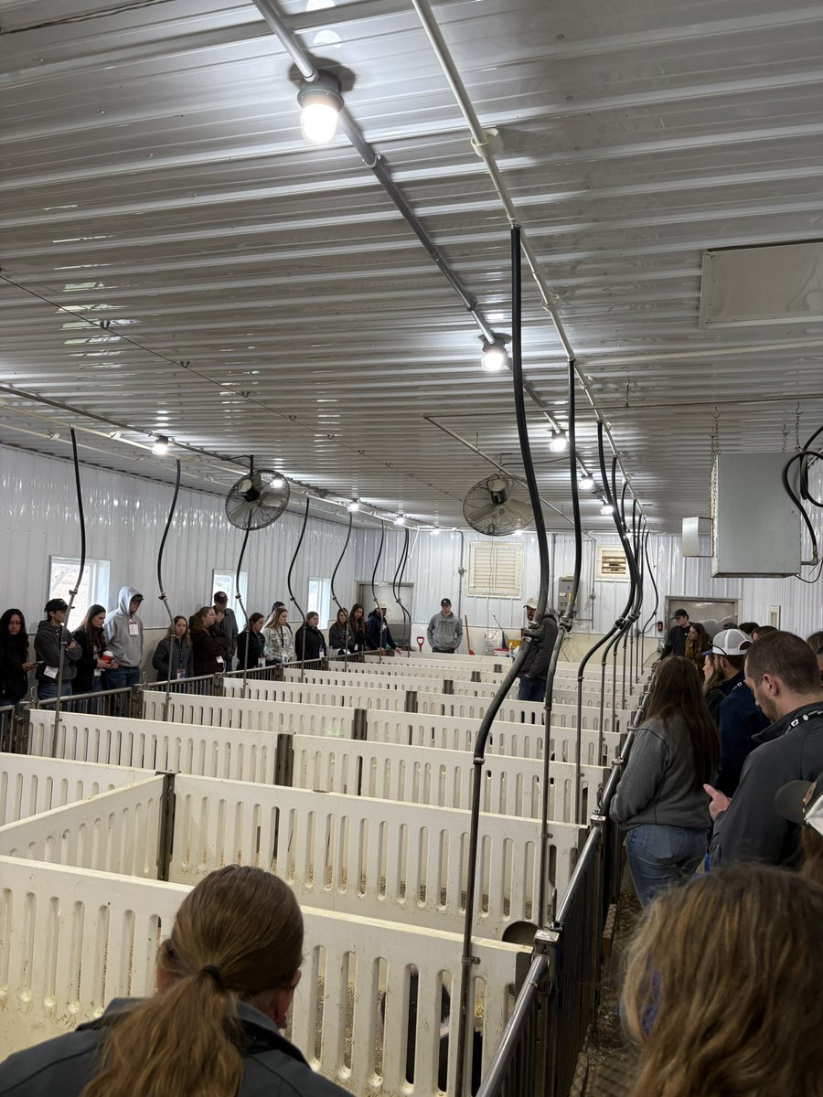 kacie_mccarthy's tweet image. Tour day at the 104th National Block and Bridle Convention hosted by Iowa State. Tour started at Eggers Showpigs, then the ISU Veterinary Diagnostic Lab and finished at Wiese & Sons Hereford. #unlbeef @UNLBlock_Bridle