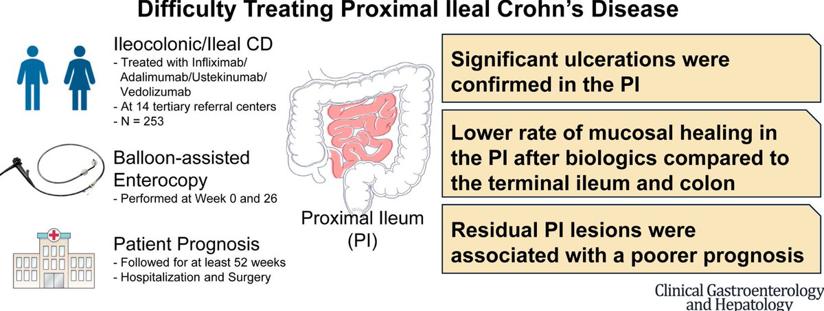 A substantial proportion of patients with CD exhibited ulcerations in the proximal ileum, which correlated with a poorer prognosis. These lesions proved challenging to heal, regardless of the type of biologic used.
authors.elsevier.com/c/1ktXG_Z4R9HU…