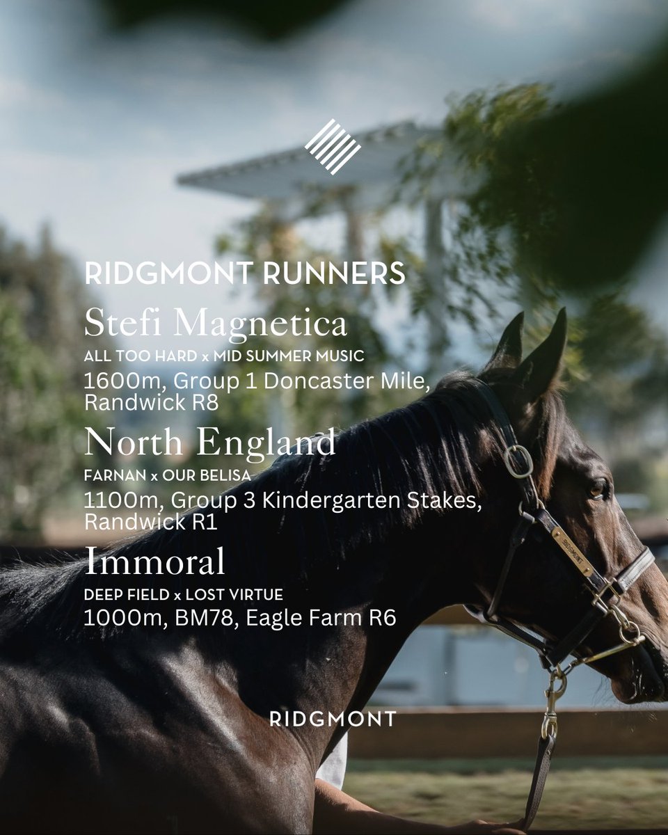 ridgmont_'s tweet photo. Ridgmont Runners | 05.04.25
Stefi Magnetica (All Too Hard x Mid Summer Music)
1600m, Group 1 Doncaster Mile, Randwick R8
North England (Farnan x Our Belisa)
1100m, Group 3 Kindergarten Stakes, Randwick R1
Immoral (Deep Field x Lost Virtue)
1000m, BM78, Eagle Farm R6
Ridgmont Inglis Easter Graduate
Scenic Point (Written Tycoon x Ludicrous Mode)
1100m, Listed Redoute’s Choice Stakes, Caulfield R1
#ridgmont #sharedsuccess #ridgmontrunners