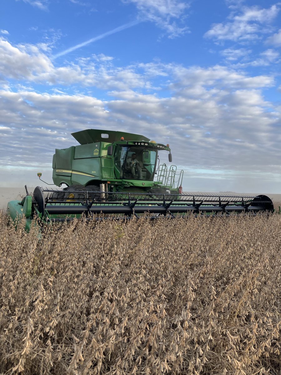 ⁦<a href="/BrevantSemillas/">Brevant Semillas</a>⁩ #55021SE