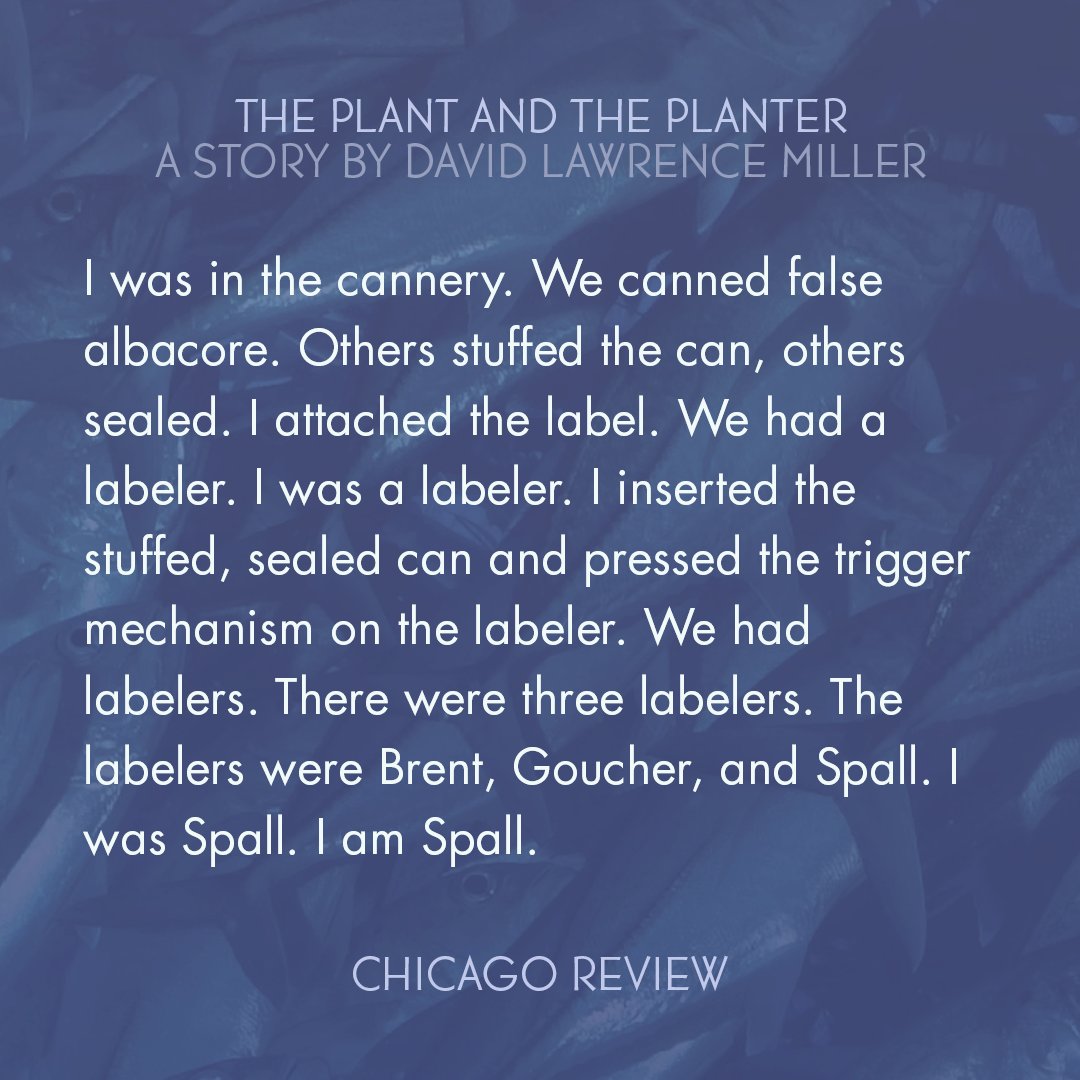 chireview's tweet image. New today on our website: "The Plant and the Planter," a story by David Lawrence Miller. Read it here: chicagoreview.org/the-plant-and-…