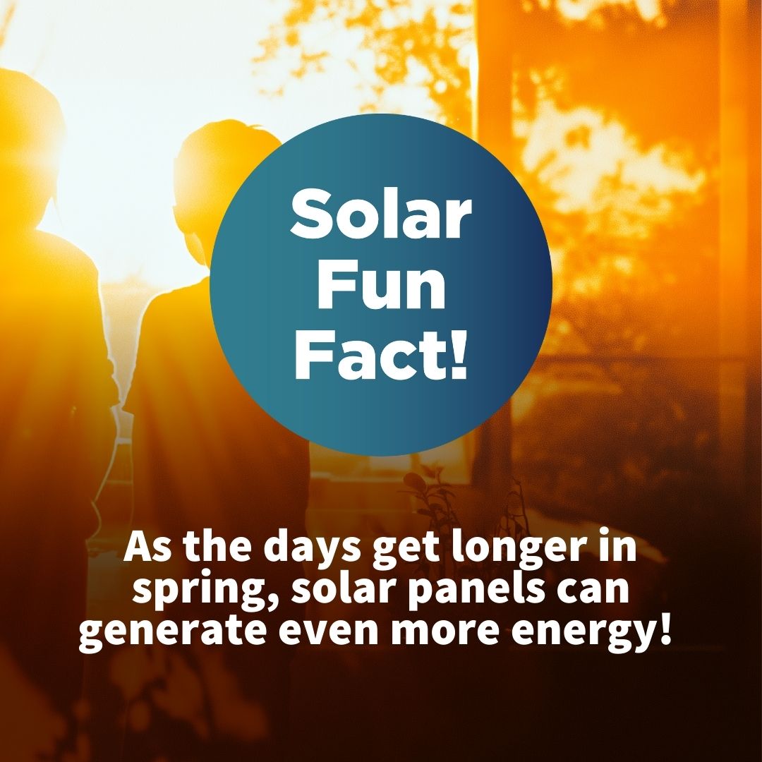 Solar Alternatives tweet media