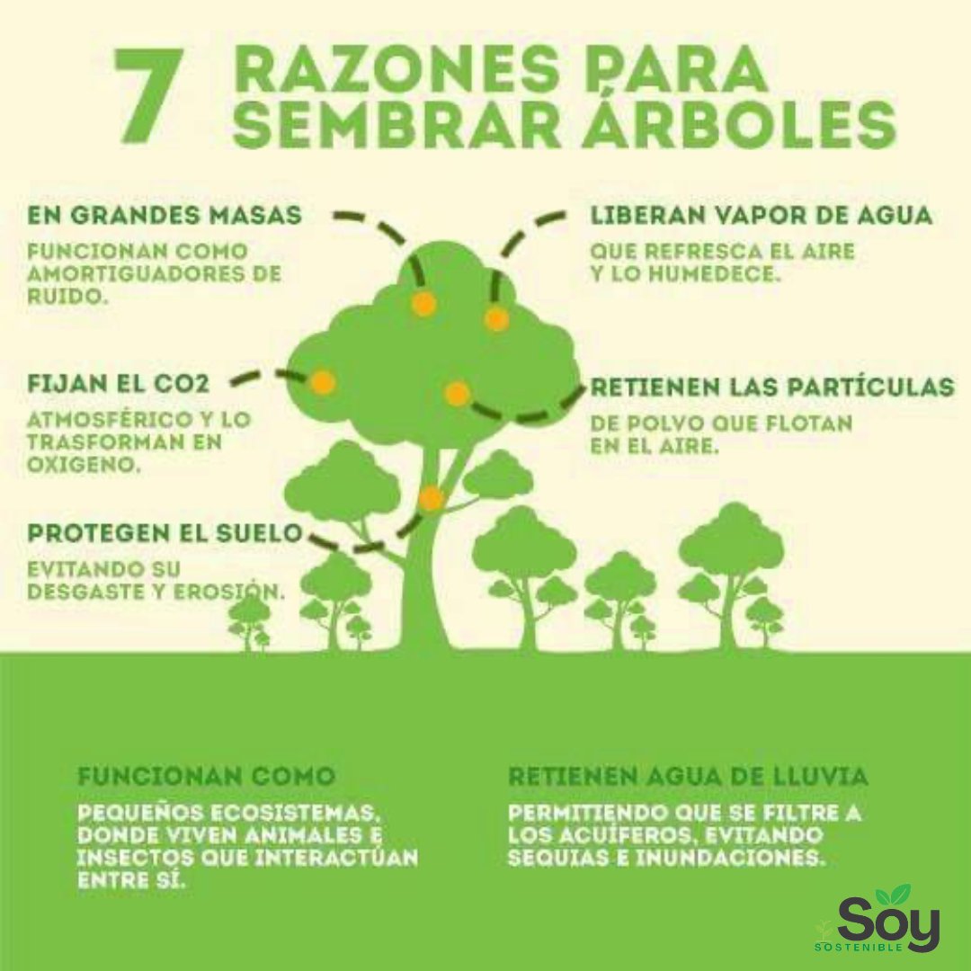 Descubre 7 razones por las que debemos sembrar árboles y únete a la comunidad 'Soy Sostenible' para construir un mundo más verde. #SoySostenible #SiembraUnÁrbol #BeneficiosDeLosÁrboles
