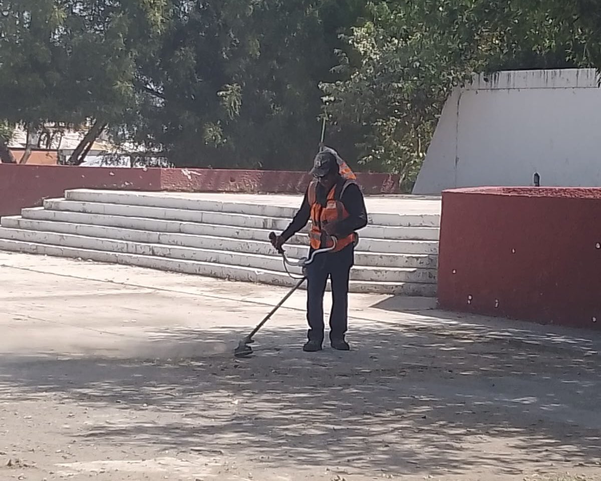 Gobierno de Victoria tweet media