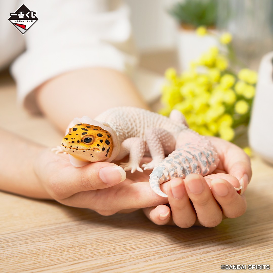 🦎🐸4月11日(金)より順次発売🐢🐍 一番くじ 爬虫類＆両生類～Tiny