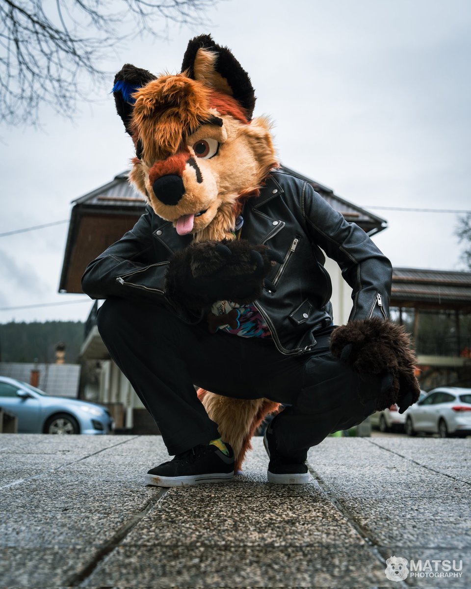 Nate Fosky 🦊🐶✨🌸🌷🌱❤️ tweet media