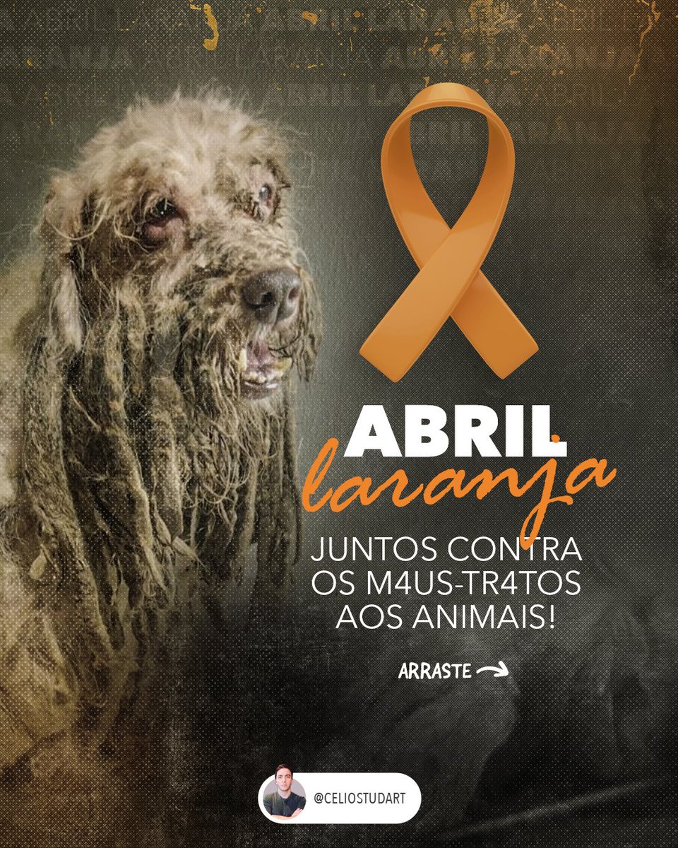 CelioStudart's tweet photo. Os animais merecem respeito, proteção e amor! Durante este mês, reforçamos a luta contra toda forma de cru3ld4de. Se presenciar cr1me de m@us-tr@tos ou suspeitar de algo, denuncie! Juntos, vamos salvar essas vidas! https://t.co/Fz1NOPOBt4
