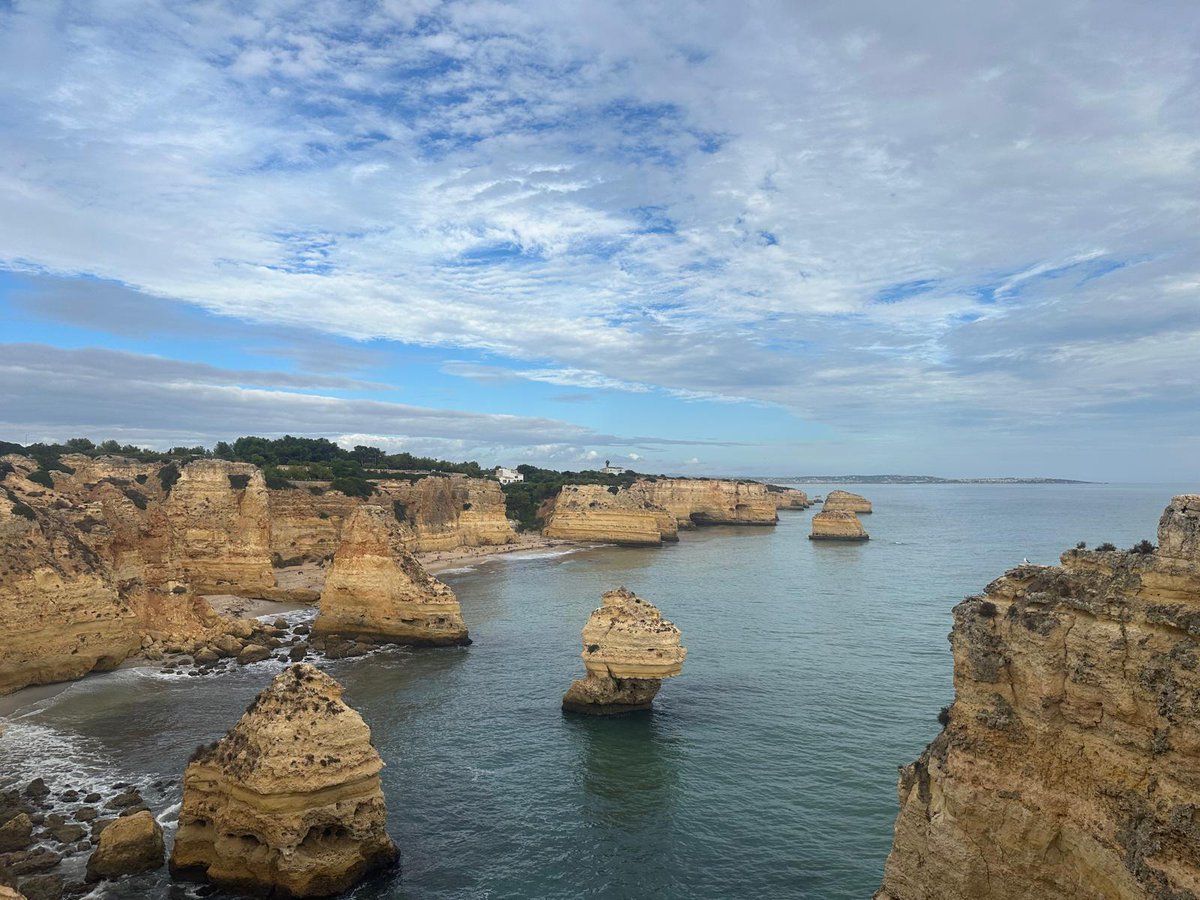 ESRA | European Society of Regional Anaesthesia (@esra_society) on Twitter photo Bookings are now available for the 9th ESRA Sunny Autumn Meeting โ๏ธ #ESRAsunny25 ๐ต๐น
The perfect combination of state-of-the-art science on obstetric anaesthesia with high-quality leisure ๐
๐ Quinta do Lago, Algarve
๐
6-10 Oct 2025
๐๏ธ Get your ticket: esraeurope.org/meeting/9th-esโฆ Bookings are now available for the 9th ESRA Sunny Autumn Meeting โ๏ธ #ESRAsunny25 ๐ต๐น
The perfect combination of state-of-the-art science on obstetric anaesthesia with high-quality leisure ๐
๐ Quinta do Lago, Algarve
๐
6-10 Oct 2025
๐๏ธ Get your ticket: esraeurope.org/meeting/9th-esโฆ
