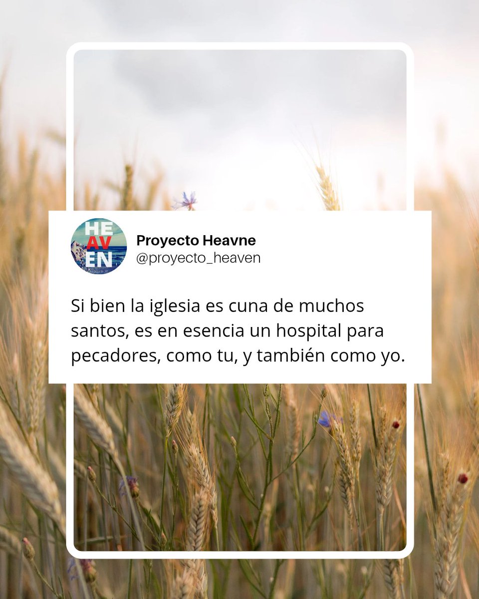Proyecto Heaven (@PHeavenOficial) / Posts / X