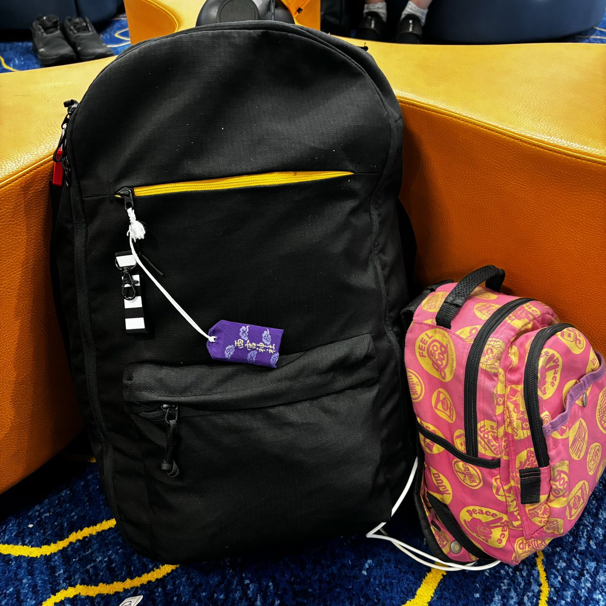 荷物は今回この2個