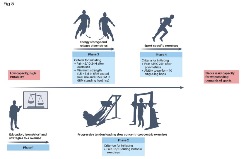 DavidMackeyDPT's tweet image. Achilles tendinopathy 🦶🏼
▪️Epidemiology
▪️Mechanisms/pathophysiology 
▪️Diagnosis and differential diagnosis
▪️Prevention 
▪️Management
Traweger et al. (2025)
ora.ox.ac.uk/objects/uuid:1…