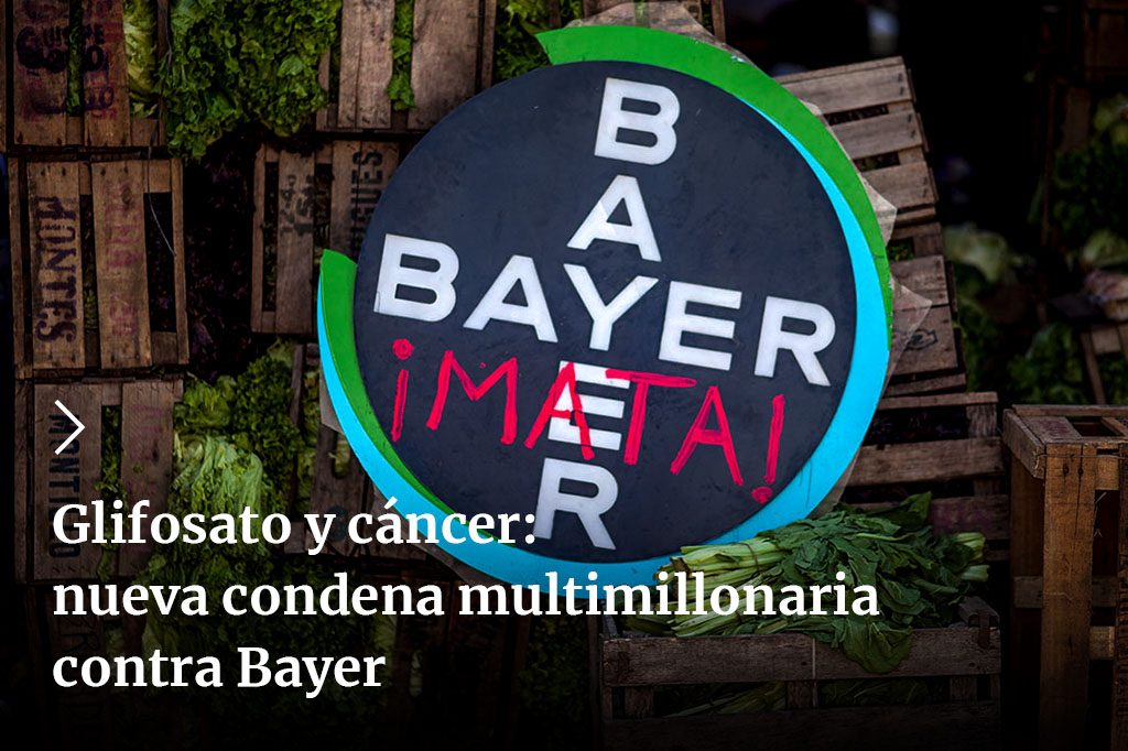 Tierra_Viva_'s tweet photo. ☠️❗El glifosato, el agrotóxico más utilizado en Argentina, no deja de sumar condenas en Estados Unidos. La multinacional Bayer-Monsanto ya perdió 12 juicios y acumula 54.000 demandas contra el Roundup (nombre comercial del herbicida).
✍️ @anabelpomar
➡️https://t.co/M47gy4apWX https://t.co/DymzfVlFga