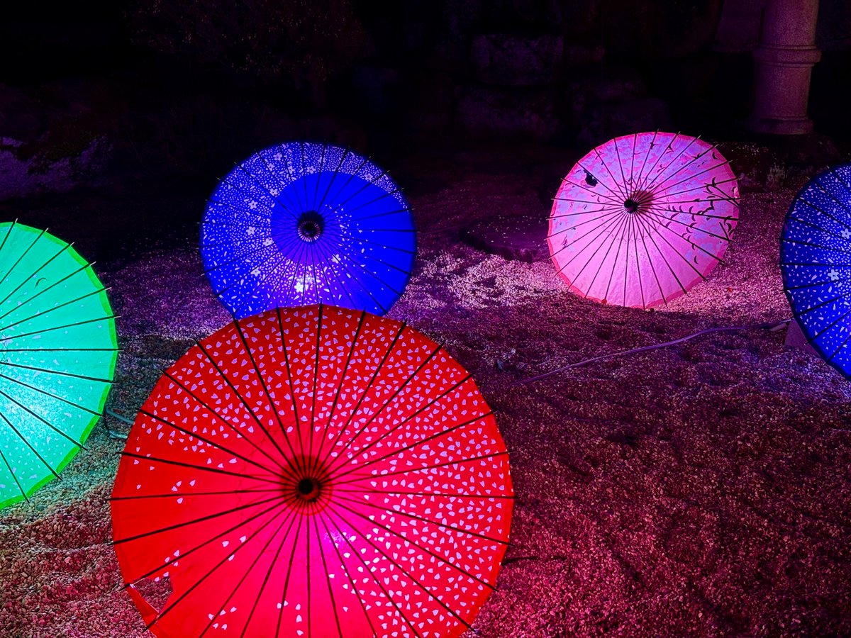 桜祭りのライトアップ🌸

岡崎市/ 愛知県

素敵な週末をお過ごし下さいませ✨

📸 2025/4