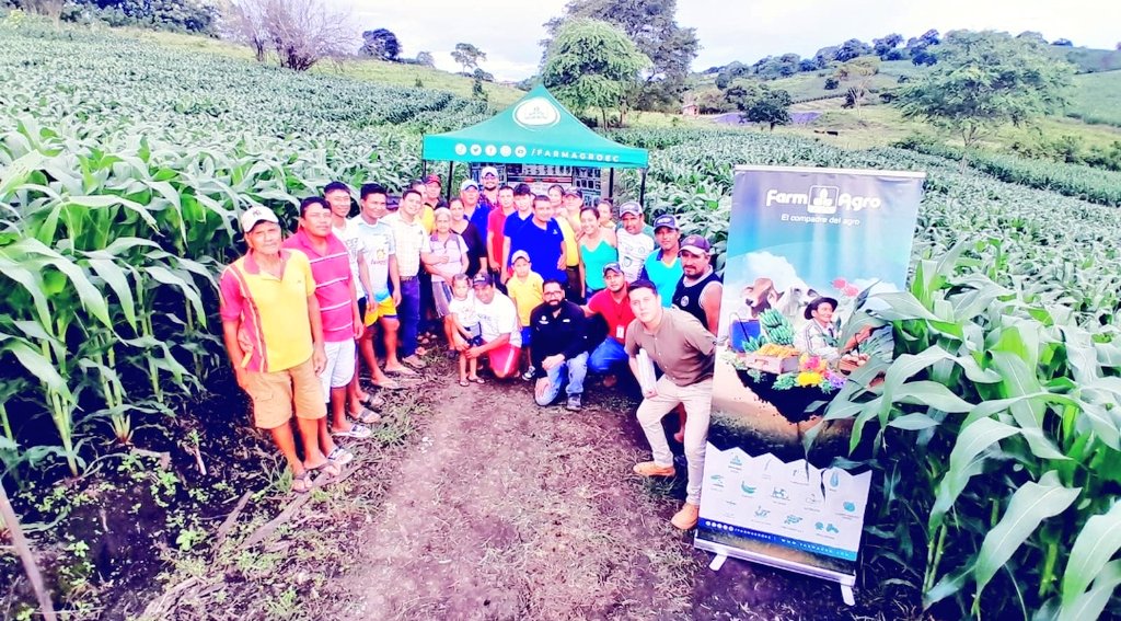 Agricultura_CZ4's tweet photo. #Manabí | Día de campo en parcela demostrativa de cultivo maiz amarillo duro, convenio MAG-Empresa Privada dirigido a  productores agrícolas de la comuna Sábana Nueva parroquia San Antonio del cantón #Chone.
#ElNuevoEcuadorResuelve 🇪🇨🇪🇨 https://t.co/r6xRi2g1Kb