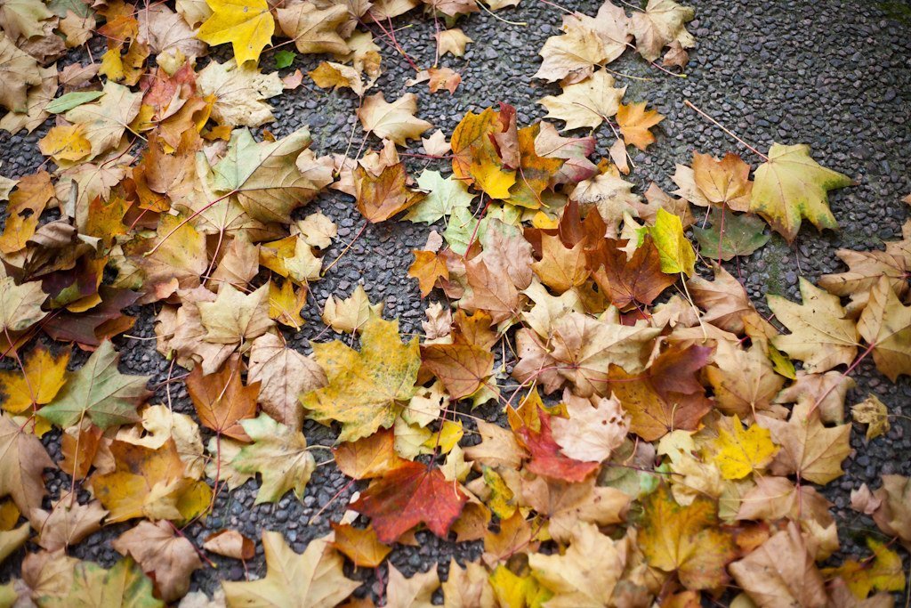 بينما كنت مقيّدا إلى جدار وأتعرض للتعذيب، أدركتُ بطريقة ما، من خلال صراخ عقلي، أنه حتى وأنا بذلك العجز المطبق، كنتُ ما أزال حرّا؛ حرّا في أن أكره الأشخاص الذين كانوا يعذّبونني أو أن أسامحهم. أعلم أن الأمر لا يبدو ذا أهميّة. لكن في اهتزاز السلسلة وإطباقها..
prom2000.blogspot.com/2025/04/blog-p…