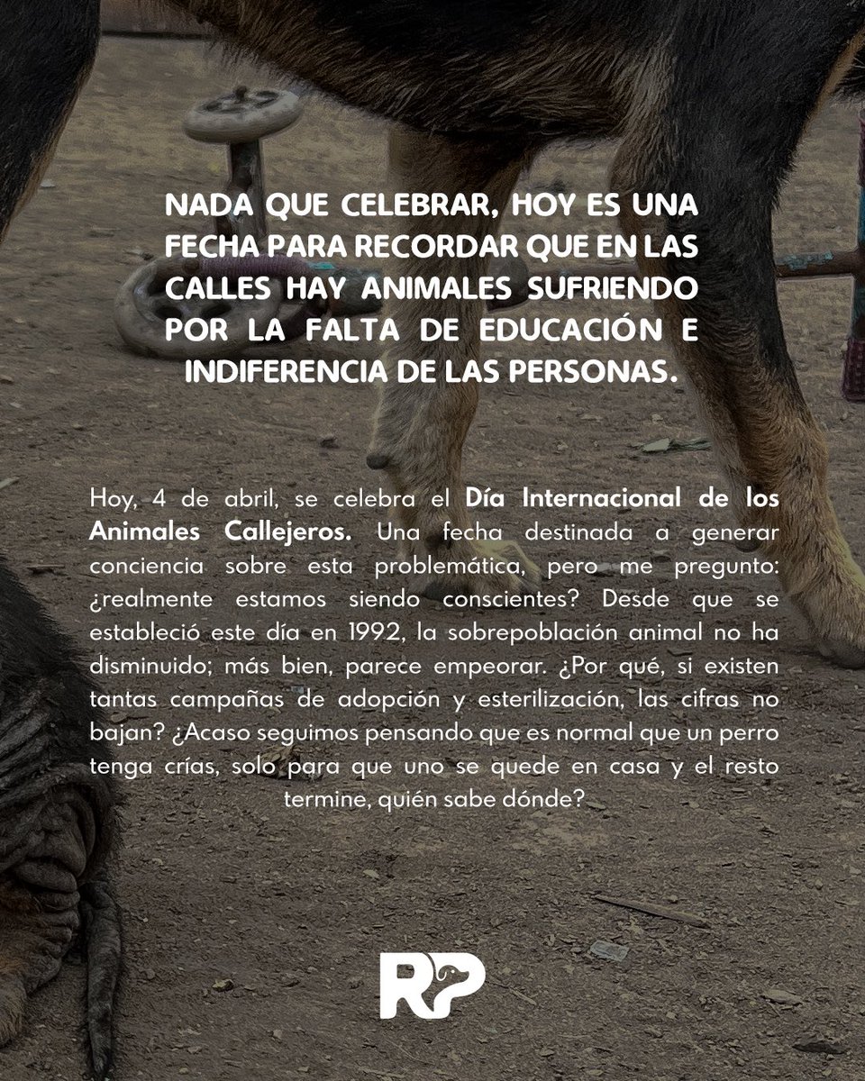 peravi's tweet photo. UNA REFLEXIÓN 
Hoy 04 de abril 
Día Internacional de los Animales Callejeros 💔
#concientiza #adopta #esteriliza 
RT https://t.co/RcSwNLz92h