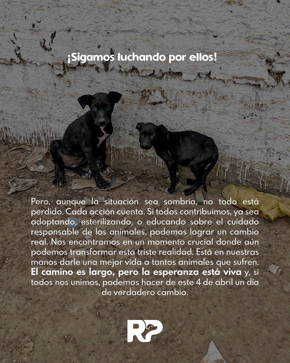 UNA REFLEXIÓN 
Hoy 04 de abril 
Día Internacional de los Animales Callejeros 💔
#concientiza #adopta #esteriliza 
RT