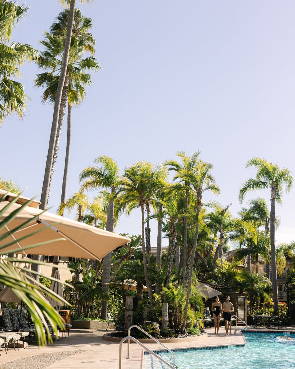 Spring into savings on Shelter Island! 
Dreaming of a waterfront escape? Now’s the time to book! Save 15% on your San Diego stay and soak up the sunshine, bay breezes, and island vibes. 🌊🌴 But don’t wait—this offer is only available until April 30! halfmooninn.com/offers/spring-…