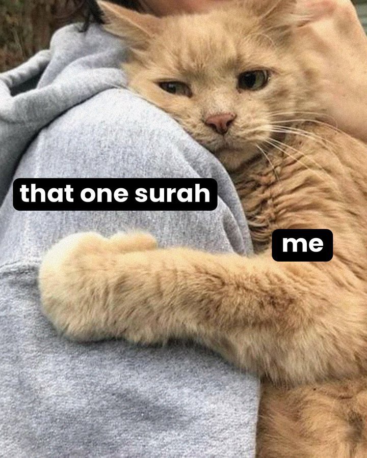 What’s your favourite Surah?