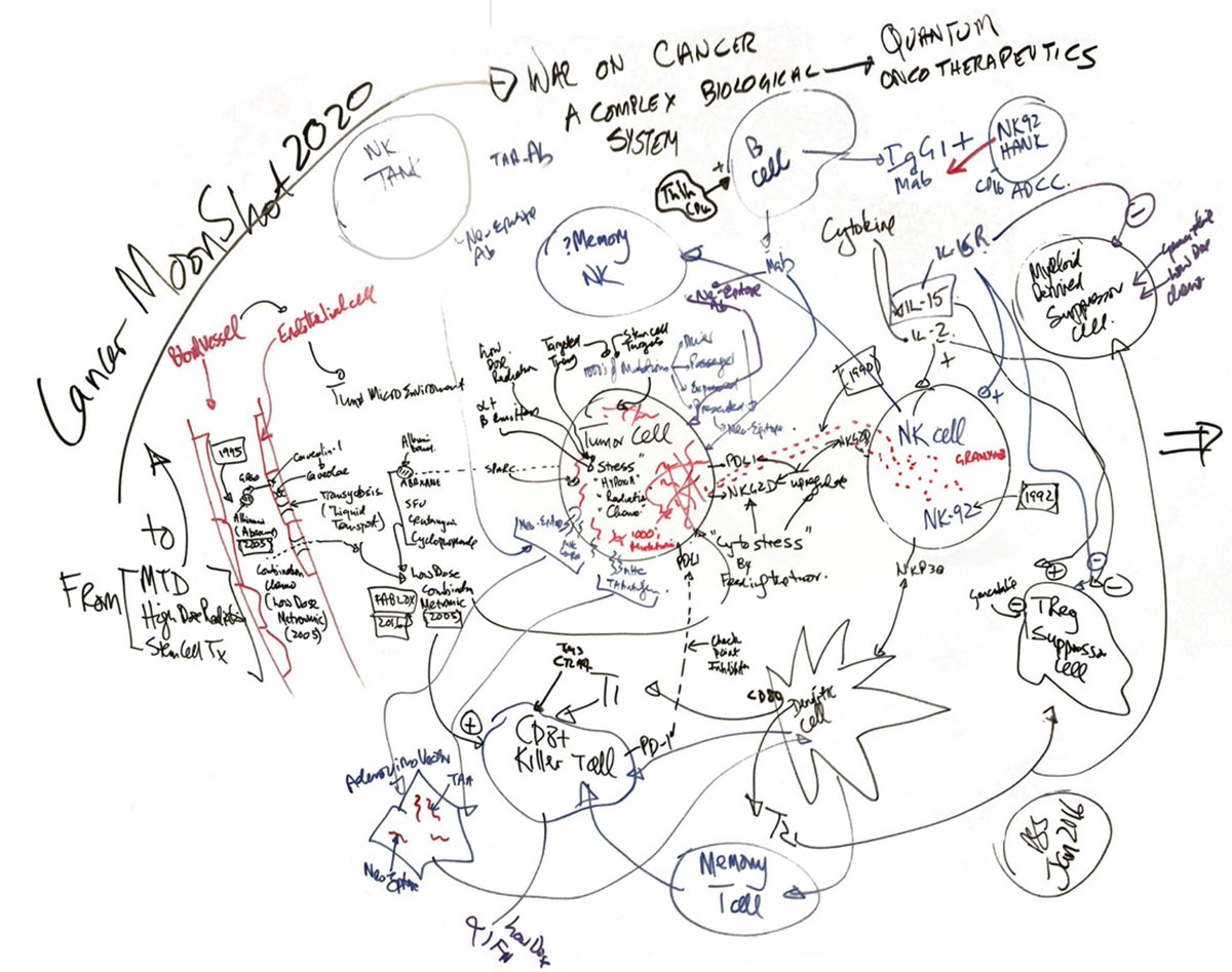 Dr. Pat Soon-Shiong (@drpatsoonshiong) on Twitter photo My complex thinking behind #bioshield in 2016. I tried hard for big pharma & US Gov to collaborate for the common good to cure cancer. Sadly had to go on our own <a href="/ImmunityBio/">ImmunityBio, Inc.</a>. US moonshot stalled but we continued our journey. Arriving soon #CancerBioShield Immune system matters! My complex thinking behind #bioshield in 2016. I tried hard for big pharma & US Gov to collaborate for the common good to cure cancer. Sadly had to go on our own <a href="/ImmunityBio/">ImmunityBio, Inc.</a>. US moonshot stalled but we continued our journey. Arriving soon #CancerBioShield Immune system matters!